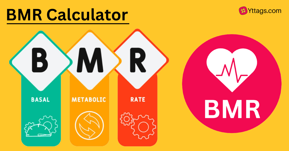 Bmr Calculator