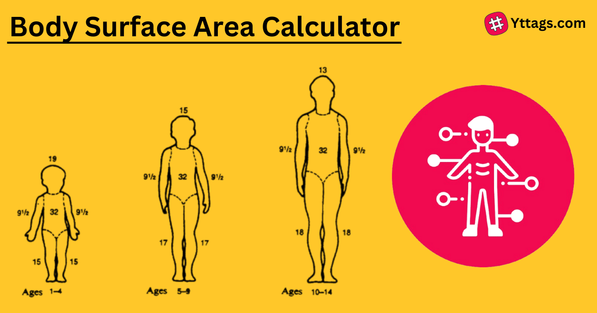 Body Surface Area Calculator