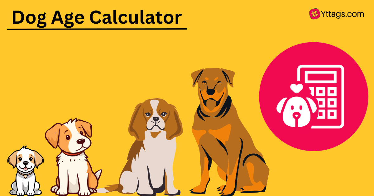 Dog Age Calculator