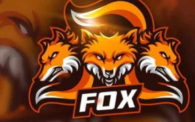 Fox Guest Posting