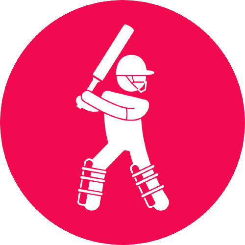 Batting Average Calculator