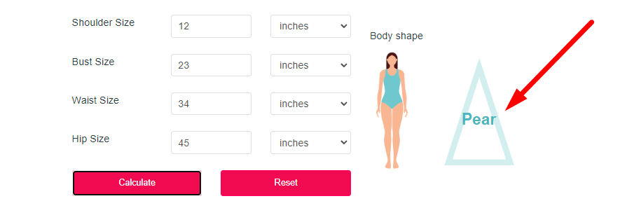 Body Shape Calculator Step 3