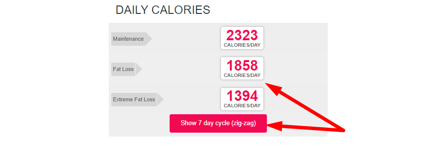 Calorie Calculator Step 3