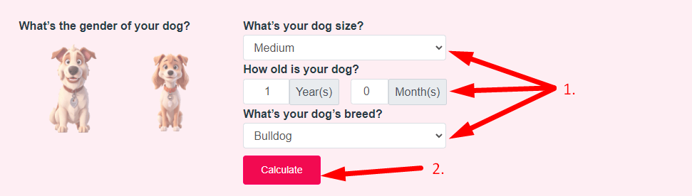 Dog Age Calculator Step 2