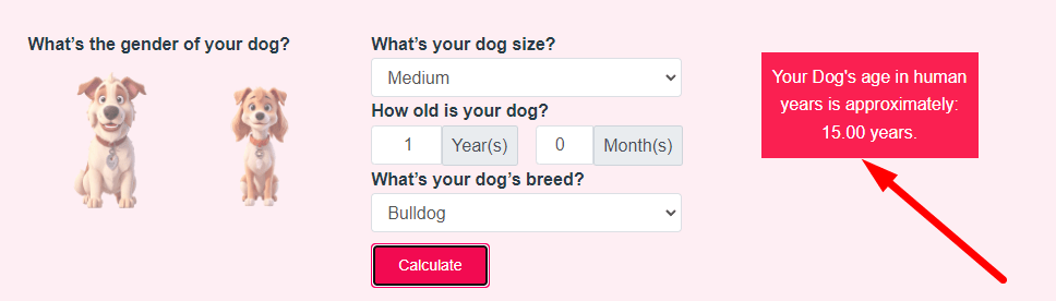 Dog Age Calculator Step 3