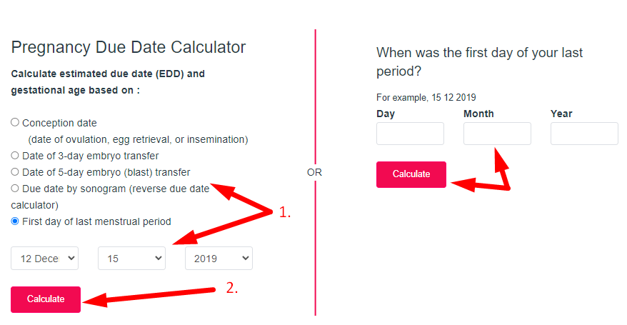 Pregnancy Calculator Step 2